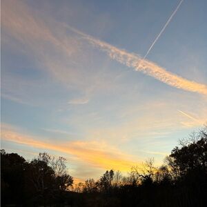 Meet your Posher, Lexus